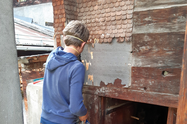 2020SchindelnentfernenII